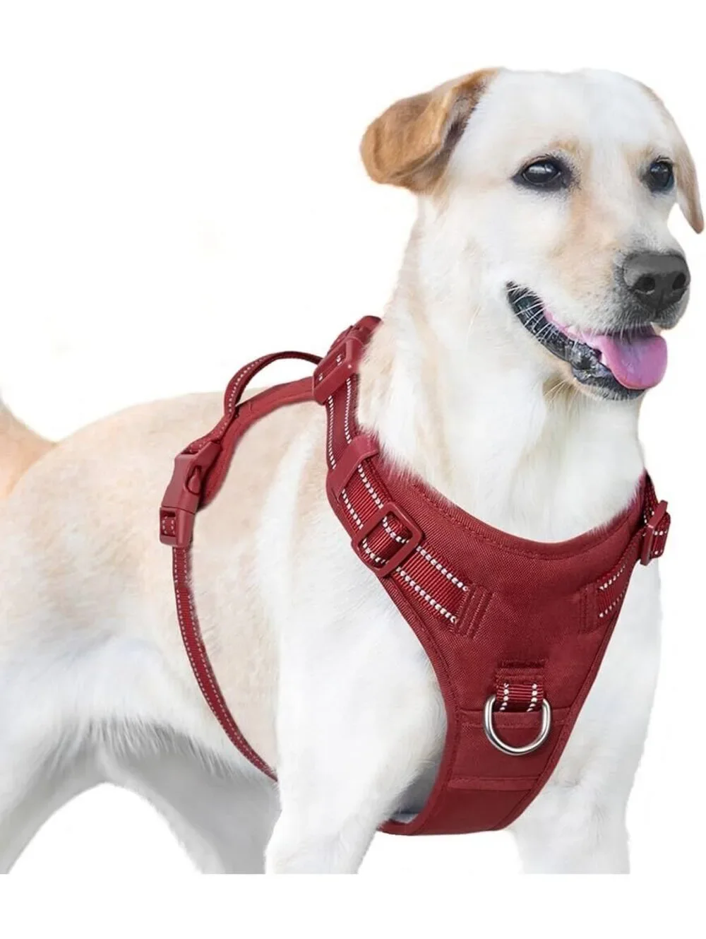 NWT Sunraymascota Burgundy Red Adjustable Dog Harness with Reflective Strips